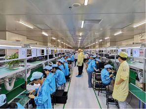 蘇寧拼購拼拼工廠再升級 老人機企業擁抱互聯網銷售，迎來增長新動力
